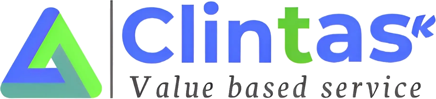 Clintask Solutions logo