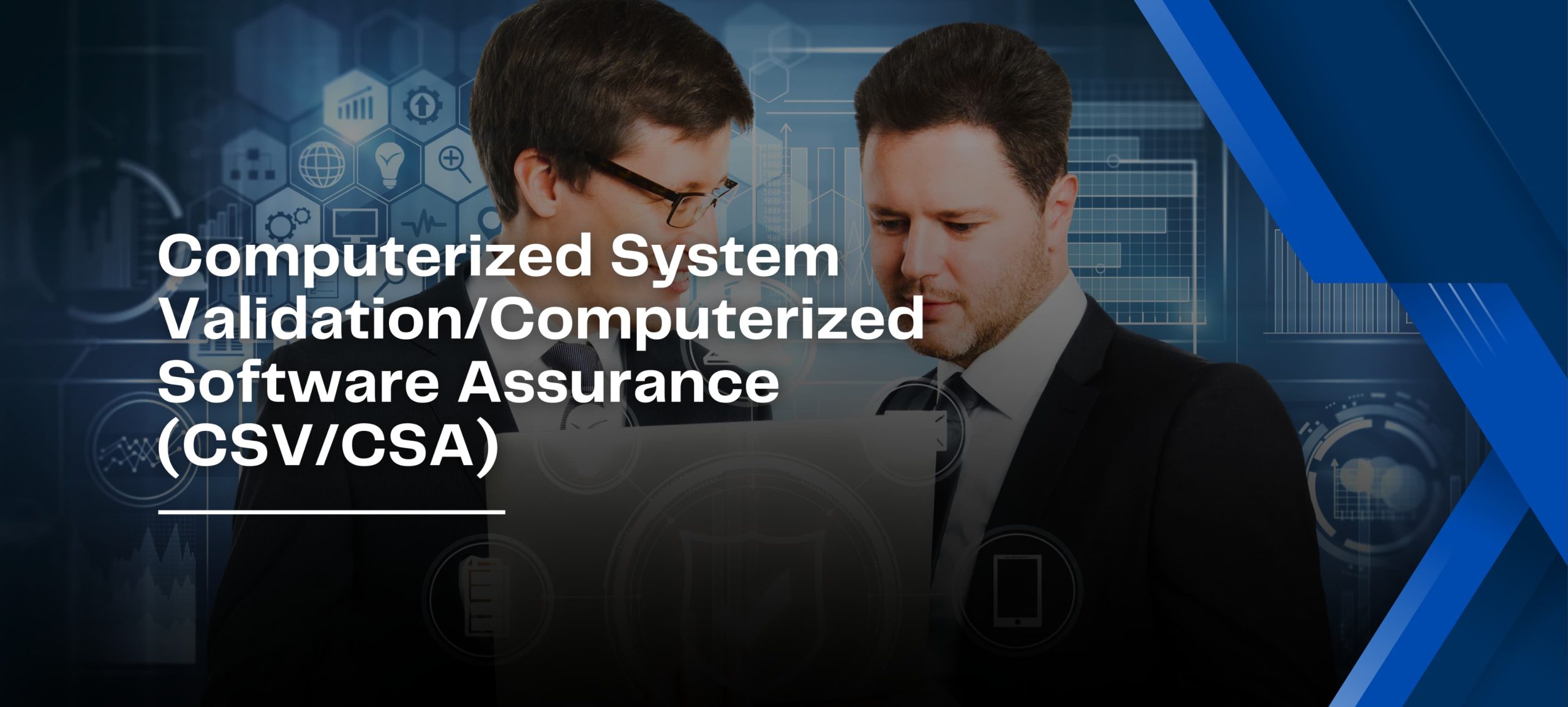 Computerized system validation services